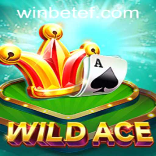 Exploring the Thrilling World of WildAce and betef PH Login